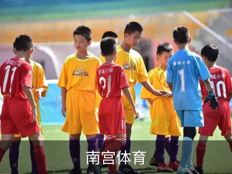关于南宫体育